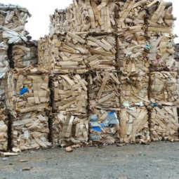 MS Scrap 1