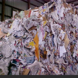 MS Scrap 5